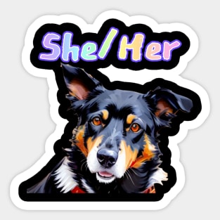 Laylah - She/Her Rainbow Text Hot Pink Sticker